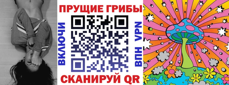 OMG онион Черепаново Галлюциногенные грибы мицелий
